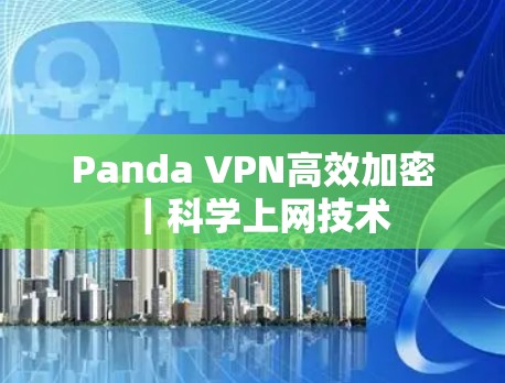 Panda VPN高效加密｜科学上网技术