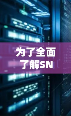 为了全面了解SNAP VPN的性能，以下是详细的步骤和分析