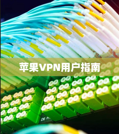 苹果VPN用户指南