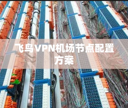 飞鸟VPN机场节点配置方案