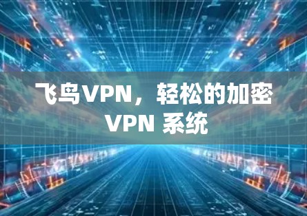 飞鸟VPN，轻松的加密 VPN 系统