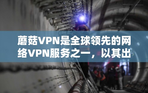 蘑菇VPN是全球领先的网络VPN服务之一，以其出色的安全性、用户体验和开放源代码而闻名。尽管蘑菇VPN提供的是免费的网络连接，但它们的网络控制功能和隐私保护措施可能会让你对使用产生了一些顾虑