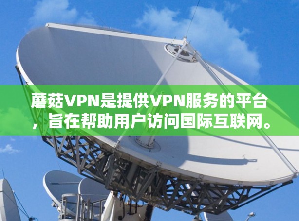 蘑菇VPN是提供VPN服务的平台，旨在帮助用户访问国际互联网。蘑菇VPN在加速体验方面可能存在一定的限制，具体取决于以下几个因素