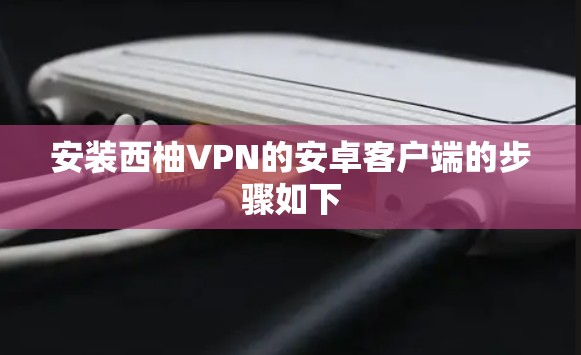 安装西柚VPN的安卓客户端的步骤如下