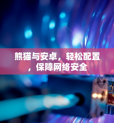 熊猫与安卓，轻松配置，保障网络安全