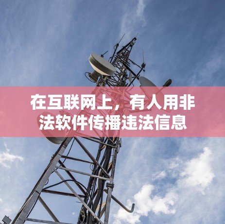 在互联网上，有人用非法软件传播违法信息
