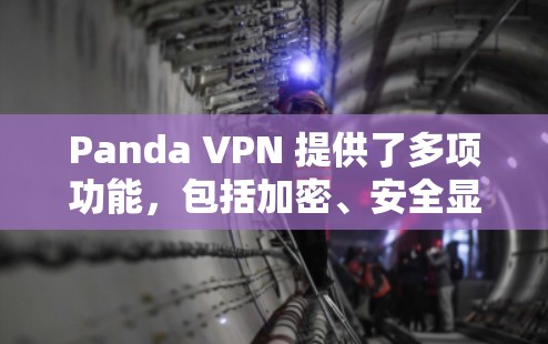 Panda VPN 提供了多项功能，包括加密、安全显著点、数据加密、虚拟设备连接、隐私保护、多设备支持和安全级别。以下是几个适合电脑版VPN工具的推荐