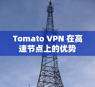 Tomato VPN 在高速节点上的优势