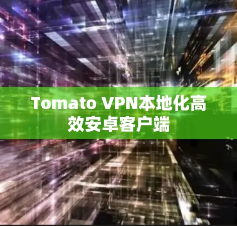 Tomato VPN本地化高效安卓客户端