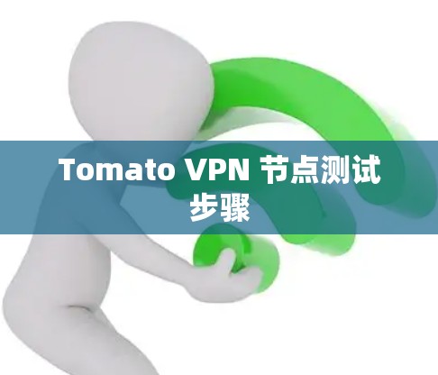 Tomato VPN 节点测试步骤