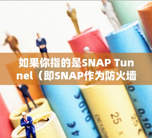 如果你指的是SNAP Tunnel（即SNAP作为防火墙工具的缩写）这是一个用于防火墙的工具，专门处理VPN请求。这种方法可以防止攻击者通过VPN攻击互联网