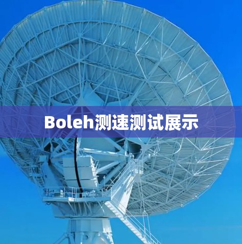 Boleh测速测试展示