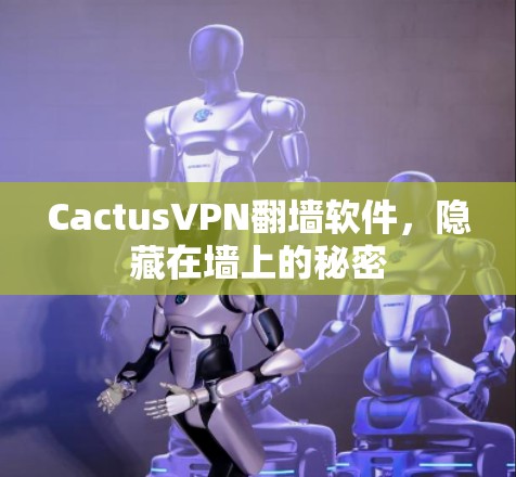 CactusVPN翻墙软件，隐藏在墙上的秘密