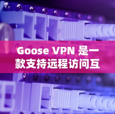 Goose VPN 是一款支持远程访问互联网的VPN工具，旨在提供安全和高效的数据传输。以下是详细的使用步骤和注意事项，帮助你顺利安装并使用Goose VPN