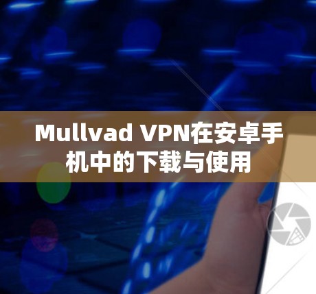 Mullvad VPN在安卓手机中的下载与使用