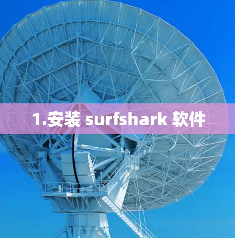 1.安装 surfshark 软件