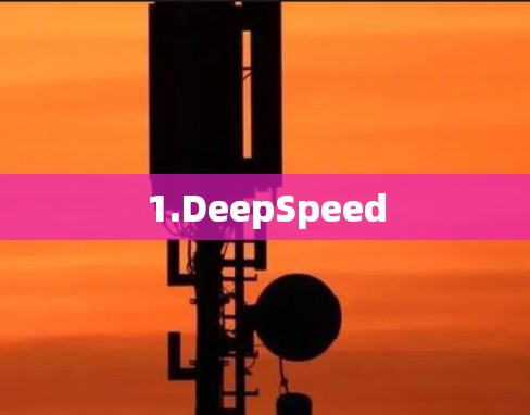 1.DeepSpeed