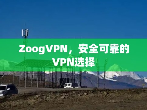 ZoogVPN，安全可靠的VPN选择