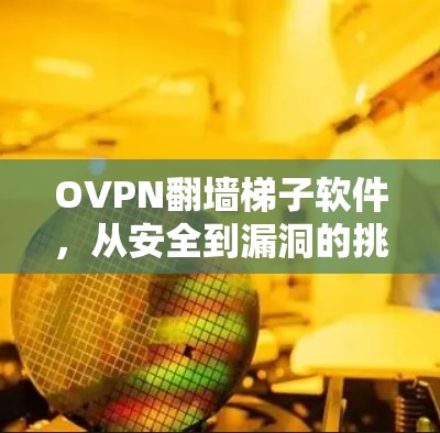 OVPN翻墙梯子软件，从安全到漏洞的挑战