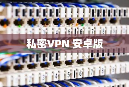 私密VPN 安卓版