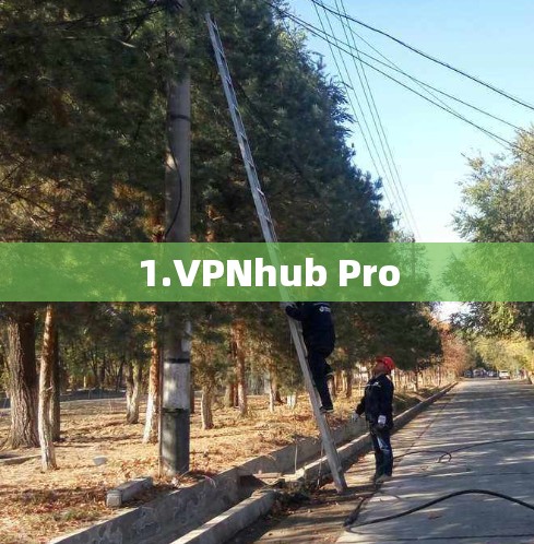 1.VPNhub Pro