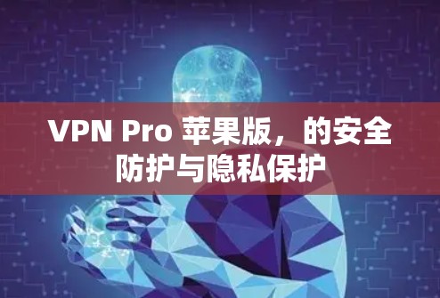 VPN Pro 苹果版，的安全防护与隐私保护