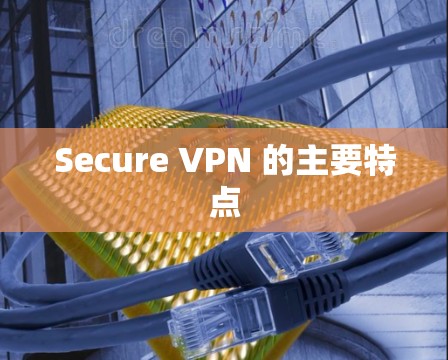 Secure VPN 的主要特点
