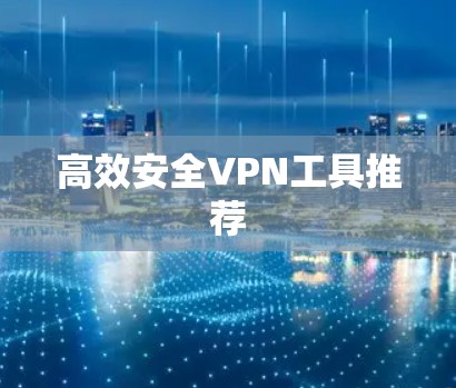 高效安全VPN工具推荐