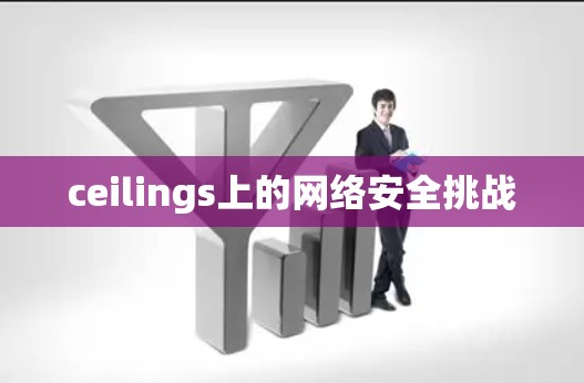 ceilings上的网络安全挑战