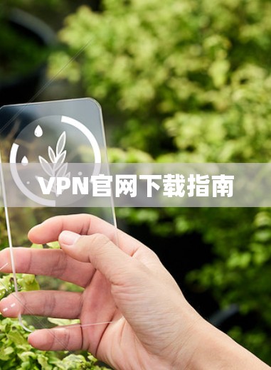 VPN官网下载指南