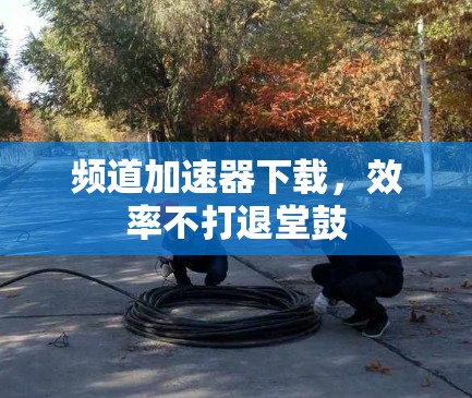 频道加速器下载，效率不打退堂鼓