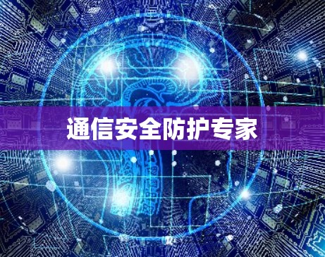 通信安全防护专家