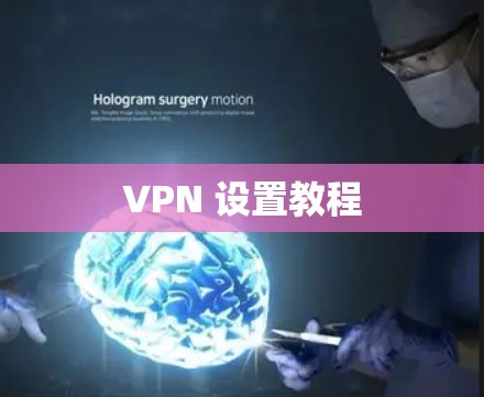 VPN 设置教程