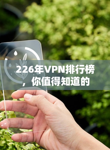 226年VPN排行榜，你值得知道的