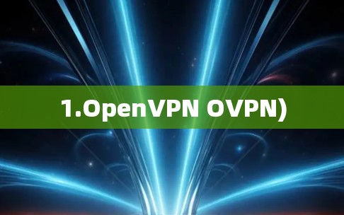 1.OpenVPN OVPN)