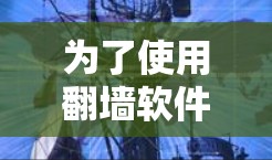 为了使用翻墙软件解决你的访问问题，可以按照以下步骤进行
