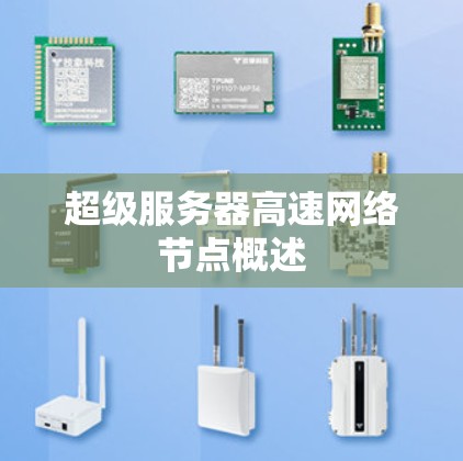 超级服务器高速网络节点概述