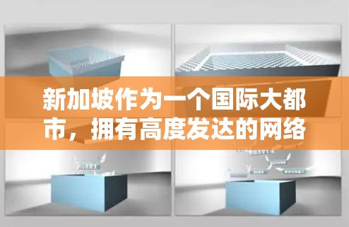 新加坡作为一个国际大都市，拥有高度发达的网络基础设施，网络加速服务在新加坡的运营情况也非常丰富。新加坡有多个网络加速平台和服务，能够帮助用户在新加坡快速连接互联网。以下是一些关于新加坡网络加速的信息