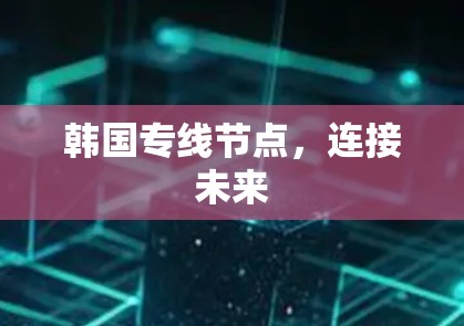 韩国专线节点，连接未来