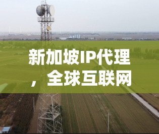 新加坡IP代理，全球互联网基础设施的最佳选择