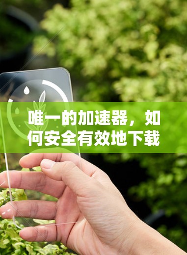唯一的加速器，如何安全有效地下载应用