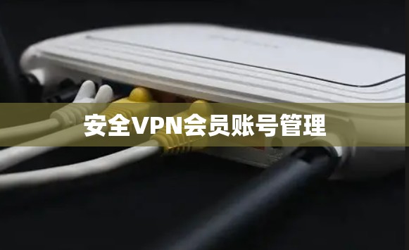 安全VPN会员账号管理