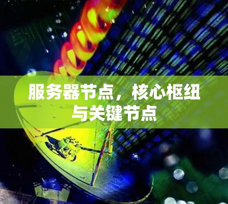 服务器节点，核心枢纽与关键节点