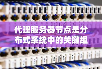 代理服务器节点是分布式系统中的关键组件，主要负责管理多个代理服务器的运行。以下是对代理服务器节点的详细总结