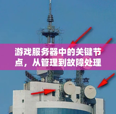 游戏服务器中的关键节点，从管理到故障处理的全貌解析
