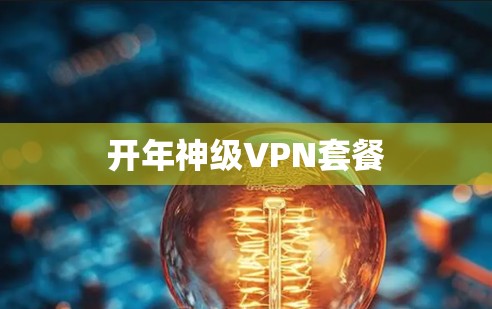 开年神级VPN套餐