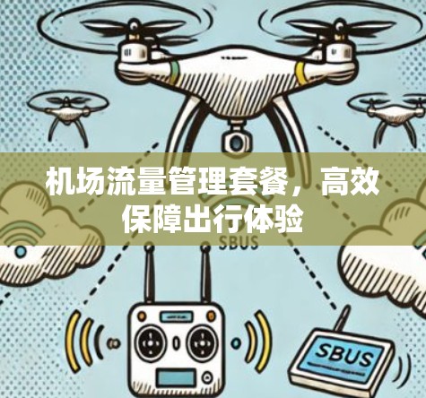 机场流量管理套餐，高效保障出行体验