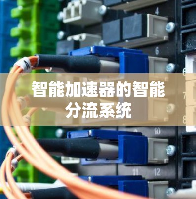 智能加速器的智能分流系统