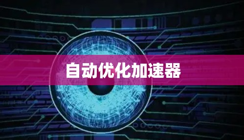自动优化加速器