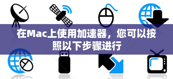 在Mac上使用加速器，您可以按照以下步骤进行
